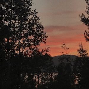 Meet your Posher, Gloria